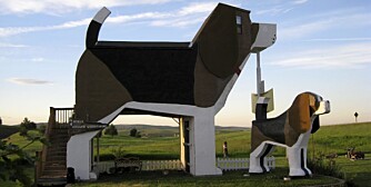 HUNDEHOTELL: Tro det eller ei. Denne store hunden er et hotell i USA ved navn Dog Bark Park Inn.