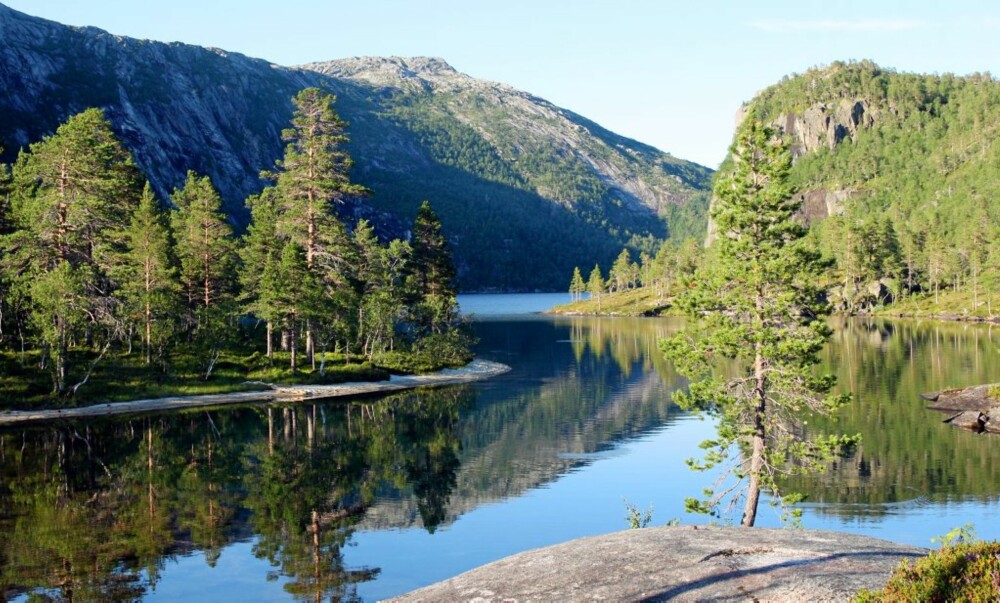 STORSKOGVATNET er et bra fiskevann. Hovedruten inn i Rago fører til vannet, og er man heldig, kan man overnatte i den åpne hytta som ligger i sørenden av vannet.