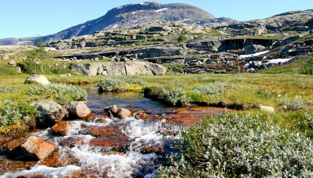 NASJONALPARKEN RAGO: Ligger i Nordland, og byr på variert og vakker natur. På andre siden av grensen kan du fortsette vandringen i nasjonalparkene Padjelanta, Sarek og Store Sjøfallet.