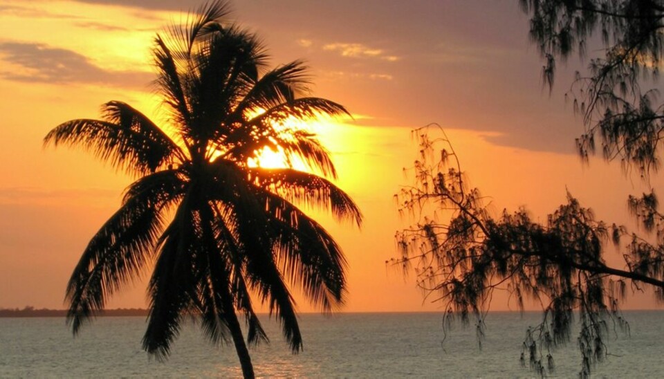 PALME I GULL: Solnedgang i Stone Town.