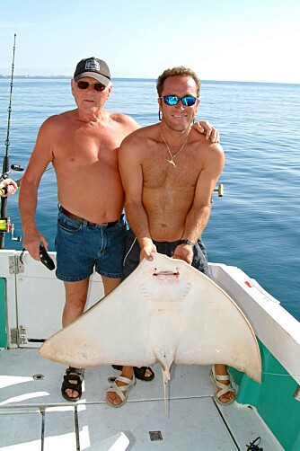 SKATE NR 2: Bjørn Westby med sin fine sommerfuglskate. Denne arten, Gymnura altavela, skal kunne oppnå et "vingespenn" på hele 4 meter.