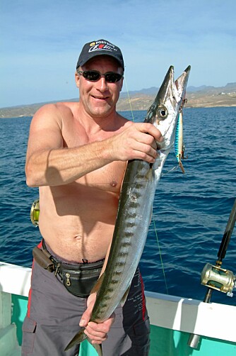 FRA FINLAND: Finsk fisker med barracuda tatt på finsk wobbler. FRA FINLAND: Finsk fisker med barracuda tatt på finsk wobbler.