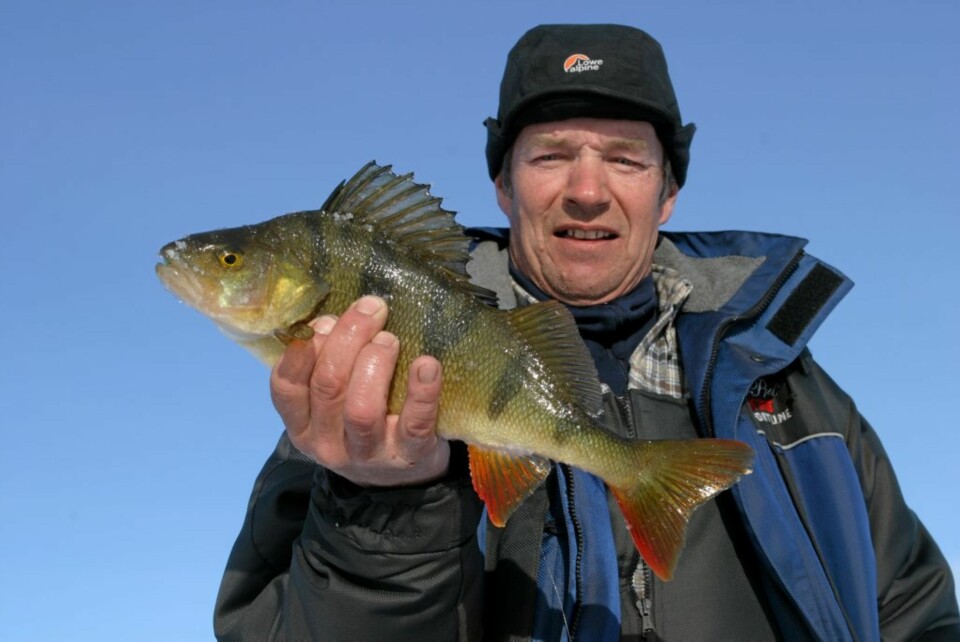 STORABBOR: Abboren biter når du byr den på det den gjerne vil ha.