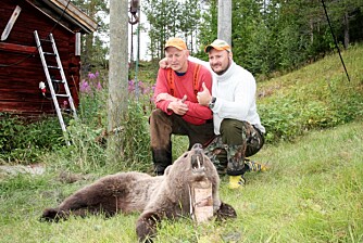 NORSK-SVENSK: Denne bjørnen ble felt i augist 2008 av jaktlaget til Bjørn Løvstad, ikke langt fra der Vi Menn deltok på bjørnejakt. Jegerne på bildet heter Staffan Moberg og Ove Larsen.