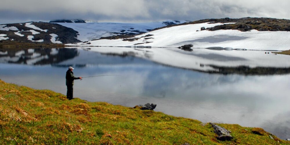 TUSSEVATNET: Dette vannet fikk vi tips om fra lokalkjent ekspertise. Dette er bare ett av mange mindre vann på Sognefjell, alle med fisk i.