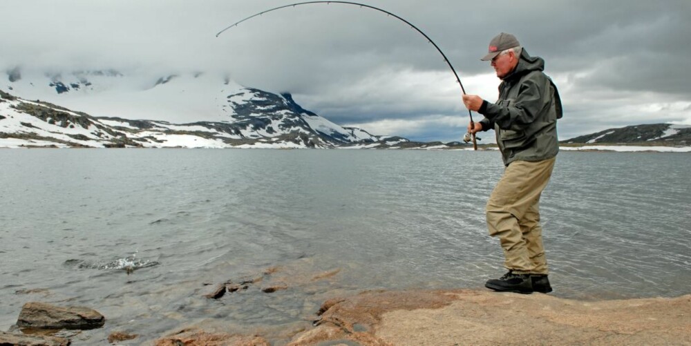 PRESTESTEINSVATNET: Reidar Korsen i sving med nok en kvalitetsørret fra Prestesteinsvatnet på Sognefjellet.