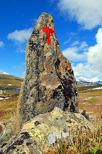 GODT MERKET: Ved å følge Den Norske Turistforenings varder kommer du enkelt til flere av vannene.