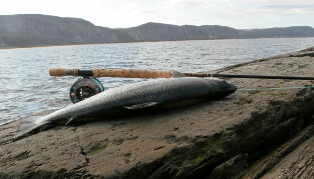 MIDNATT VED OSET: Livet er en drøm med fiskestang ved ei finnmarkselv i juli.