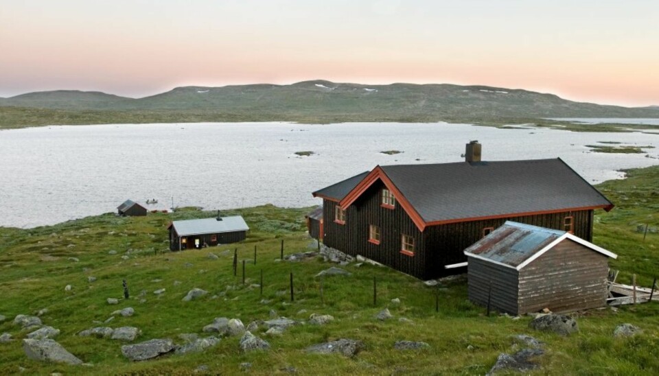 PERLE: Fiskevannet Skjerja er kjent for sine store fjellørreter, og omtales ikke sjelden som Hardangerviddas perle.