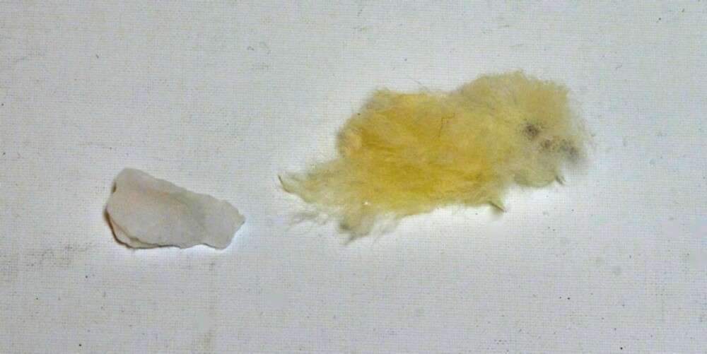 HER ER FORSKJELLEN: En dott bomull (til venstre) og ull (til høyre) utsatt for fukt og klemt sammen. Bomullsbiten kollapser totalt.
