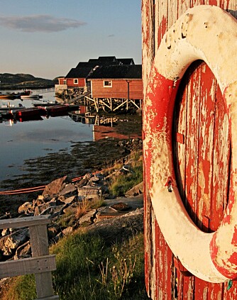 OPPLEVELSE: Lundura på klippeøya Lovund er en opplevelse å få med seg.