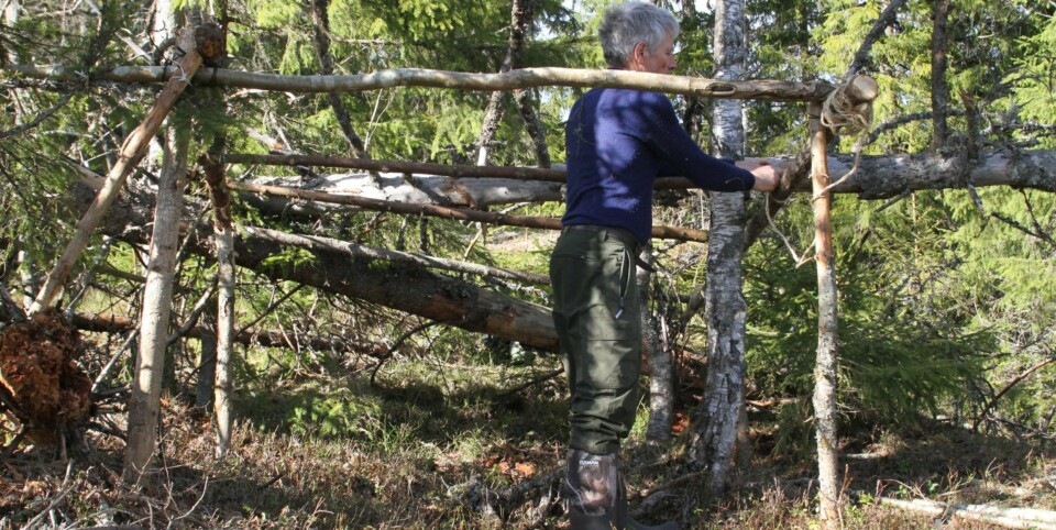 3. Reisverket festes sammen med sterk tråd.