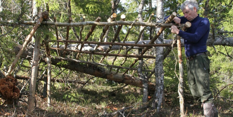 4. Du trenger flere rajer på taket om du skal ha granbar der enn om du bruker plast.