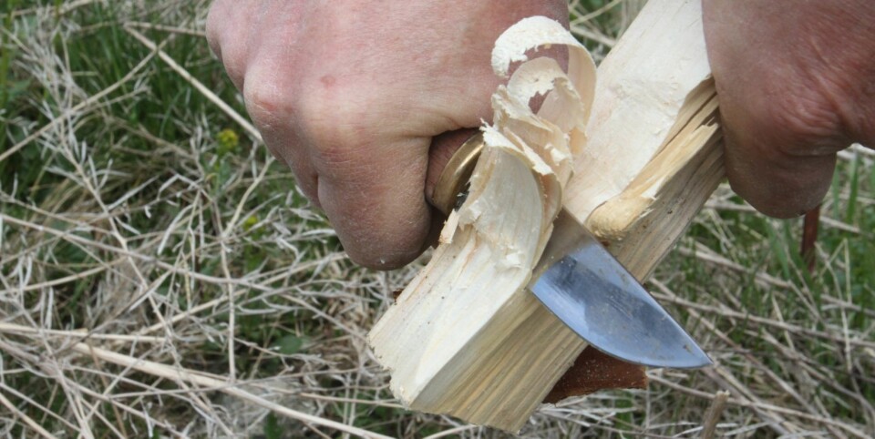 TØRR GRAN: Fliser fra tørr gran som er spikket på denne måten, er et utrolig bra opptenningsmiddel.