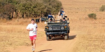 FØLGEBIL: Det skal visstnok ikke være farlig å løpe maraton i savannen.