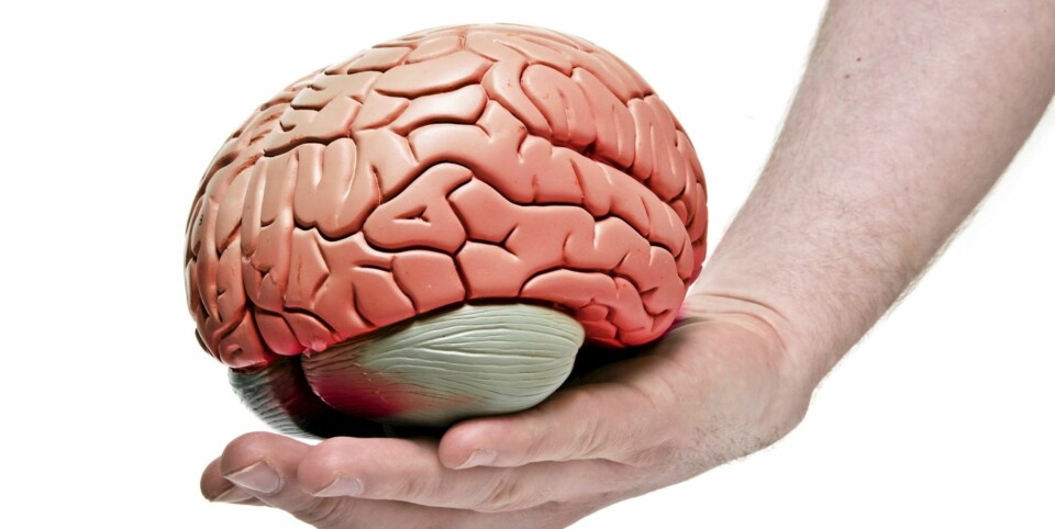 RISIKO: Både arv og miljø bestemmer risikoen for å utvikle demens.