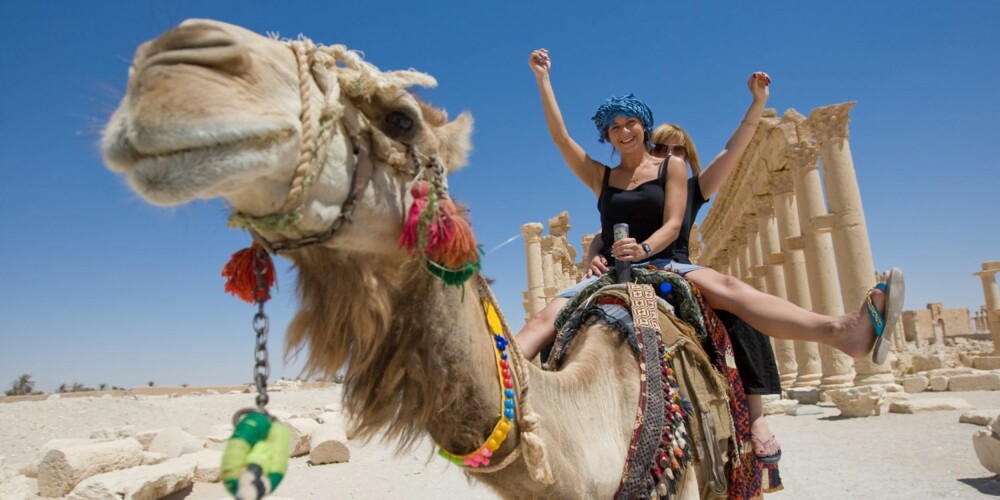 FREMKOMSTMIDLER: De som virkelig plages av reisesyke får plager enten de reiser med bil, tog eller kamel.