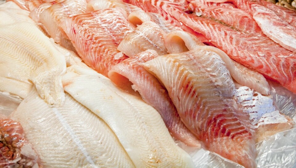 USPISELIG: Forbrukerrådet mener 10 prosent av fisken i butikk er ubrukelig som menneskeføde.