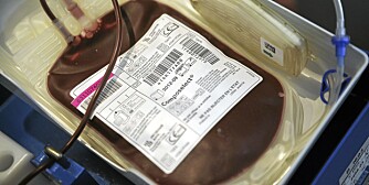 LIVSNØDVENDIG: Tilgang på donorblod er livsnødvendig på norske sykehus. LIVSNØDVENDIG: Tilgang på donorblod er livsnødvendig på norske sykehus.
