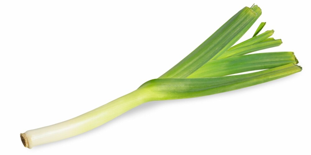 PURRE: Den grønne enden av purren er ok å spise for personer med irritabel tarm, mens den hvite ikke er det, ifølge FODMAP.