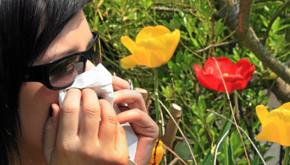 POLLENSESONGEN ER I GANG: Pollenallergien kan komme like overraskende hvert år. Kløe i øyne og nese er et sikkert tegn.