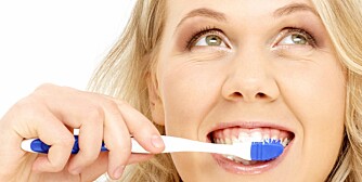 HVER TREDJE MÅNED: Tannbørsten bør skiftes ut hver tredje måned eller når busten på børsten er slitt. Det kan variere fra 14 dager til tre måneder, sier tannlege Sverre Aukland.