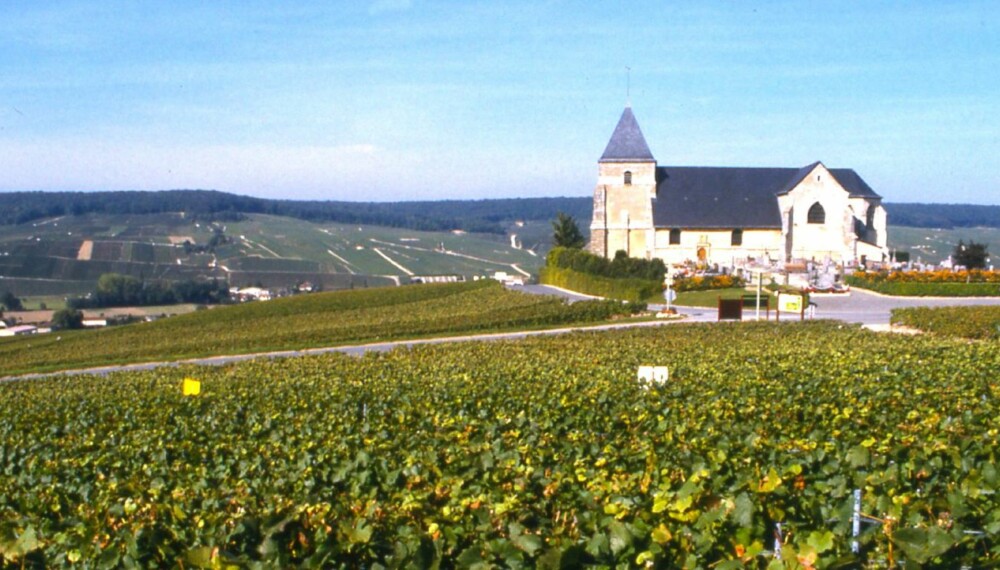 CHAMPAGNE: Chavot-kirken fra 1100-tallet i vinmarkene utenfor Epernay.