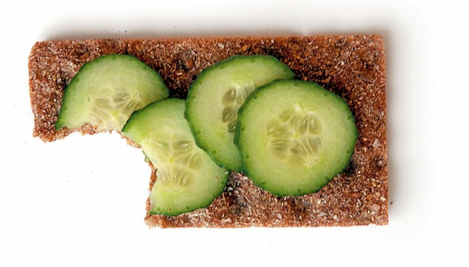 KNEKKEBRØDKAOS: Skal hullene på knekkebrødet være opp og den ruglete overflaten ned? Eller skal pålegget på den flateste siden uten hull? Befolkningen er delt.