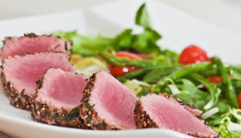 La tunfisken ligge i marinade i 30 minutter før du steker den.