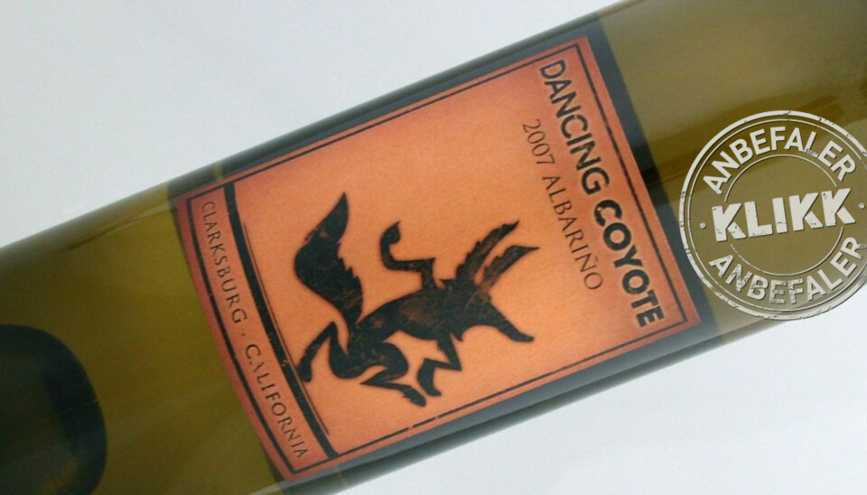 FIN DRUE: Albariño er en drue vi først og fremst forbinder med det nordvestlige Spania og Portugal.