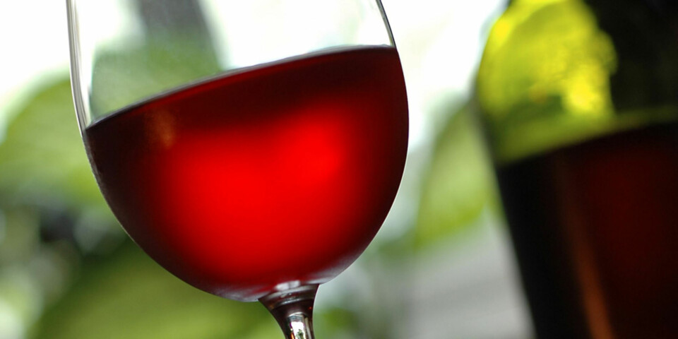 Polets 10 beste vinkjøp