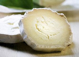 HVIT GEITOST: Chèvre er en av Frankrikes mange oster med mange tilhengere.