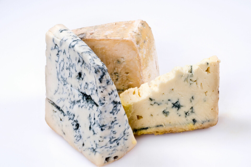 BLÅMUGGOST: Italienske gorgonzola finnes i tre varianter: classic (klassisk), dulce (søt) og picante (sterk)