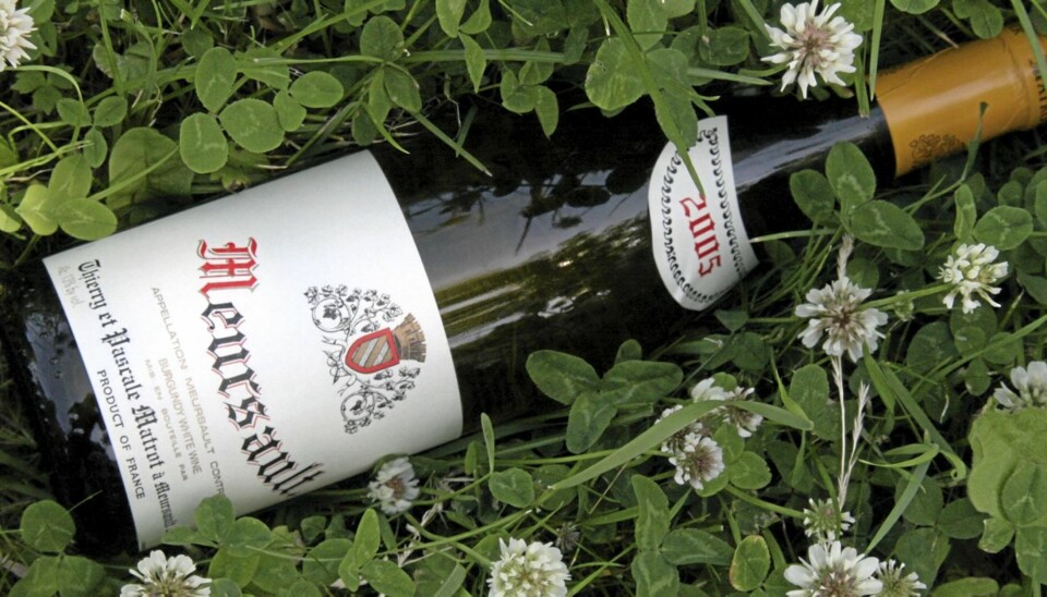 BESTE VIN: En Meursault har de mest karakteriske petroleumstonene av alle hvitviner.