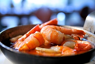 SCAMPI: En sikker vinner på tapasbordet SCAMPI: En sikker vinner på tapasbordet