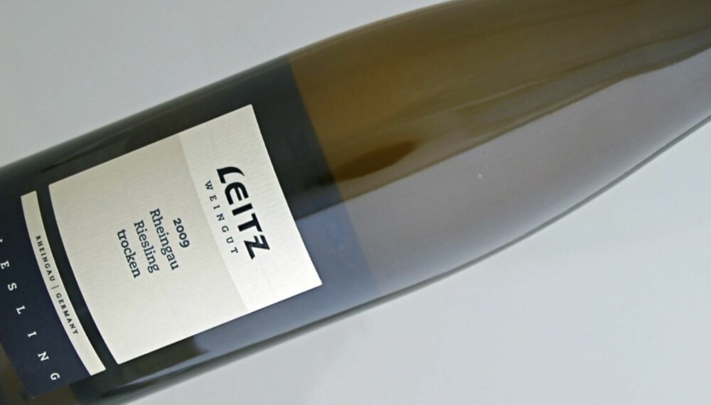 RHEINGAU: Ukens vinanbefaling kommer fra det klassiske vindistriktet Rheingau.