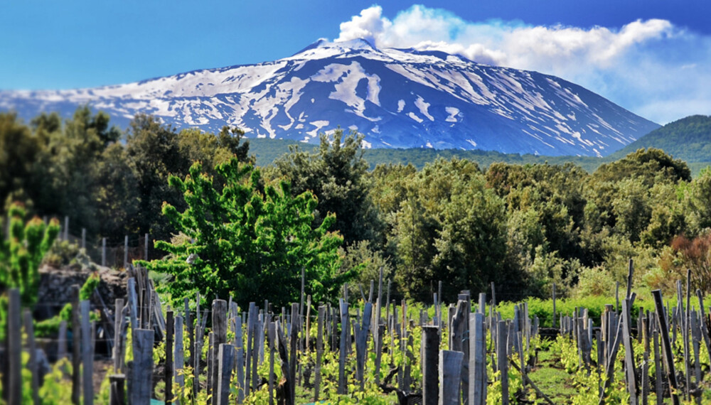 VINMESSE: Bli med på vinmesse med fokus på Sicilia!