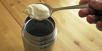 NATURELL: En skje naturell yoghurt i melken starter opp hele moroa.