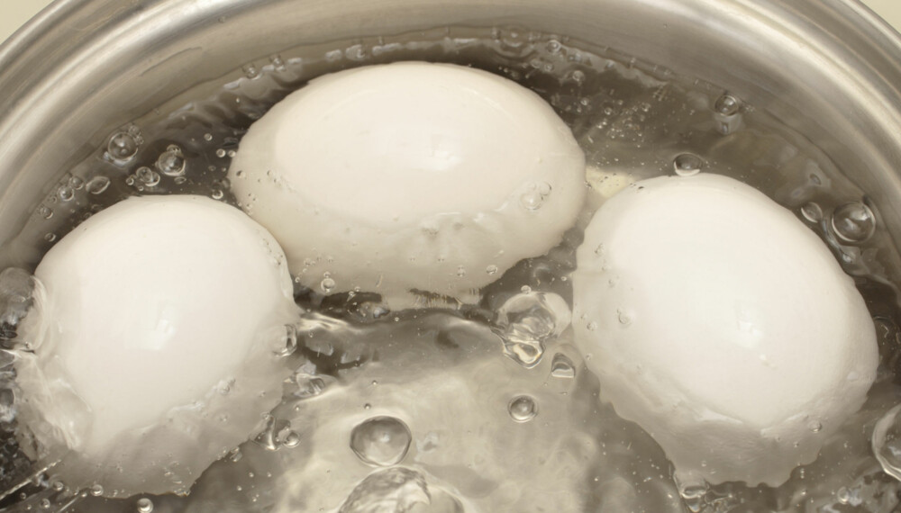 EGG TIL FJELLS: Visste du at egget trenger lengre koketid hvis du er høyt til fjells eller egget er helt ferskt? EGG TIL FJELLS: Visste du at egget trenger lengre koketid hvis du er høyt til fjells eller egget er helt ferskt?