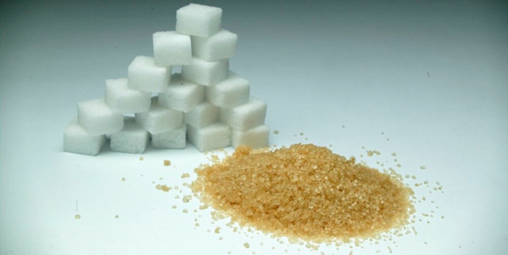 STUDIO  20040416;  SUKKERBITER og DEMERARA-sukker sukker helse slank brunt sukker sukkerbiter