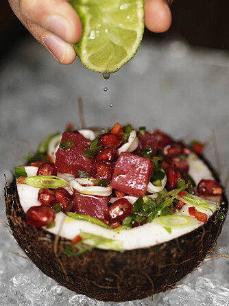 Tunfiskceviche servert i halve kokosnøttskall er en fryd både for ganen og øyet.