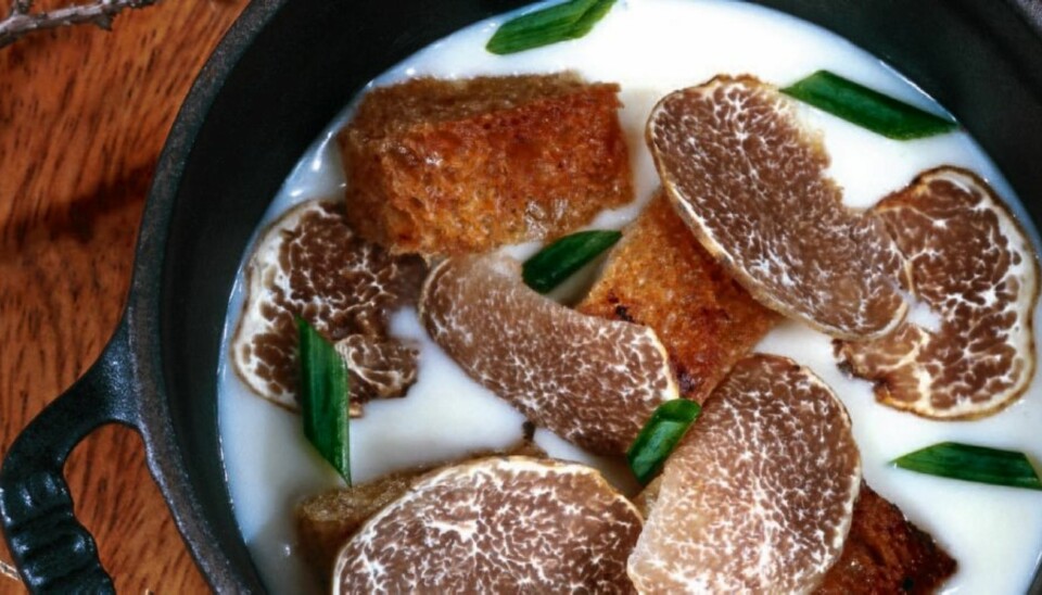 Fontinafondue med brød og hvit trøffel