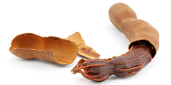 TAMARIND: Det søt-syrlige Innholdet i belgfrukten blir av og til brukt i karrigryter. TAMARIND: Det søt-syrlige Innholdet i belgfrukten blir av og til brukt i karrigryter.
