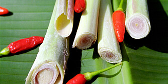 Thaichili, sitrongress og bananblad