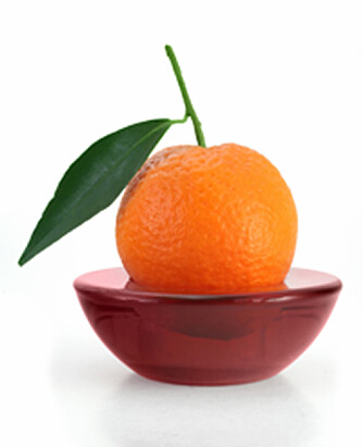 GANSKE LIKE: Dette er en mandarin.