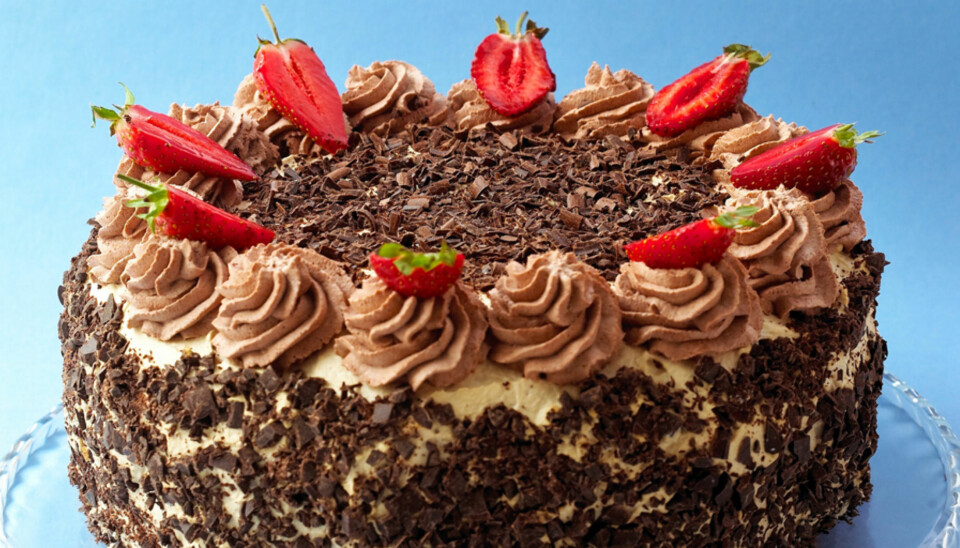 FESTKAKE: En av kakemonsens søteste drømmer, mokkakake.