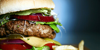 RIKTIG KJØTT: Det beste i hamburger er karbonadedeig eller ferskt grovmalt biffkjøtt fra slakteren.