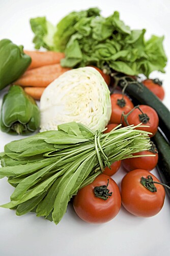 GRØNNSAKER: Norsk salat, agurk, tomat, kål og gulerot har sesong akkurat nå.