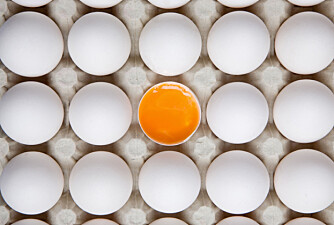 NOK EGG: Beregn noenlunde hvor mange egg du trenger. Det er ingen vits å hamstre, etter påske er du sikkert lei egg for en stund.