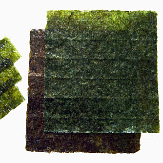 NORI: Tørkede ark av tang, som blant annet blir brukt i makiruller, en type sushi.